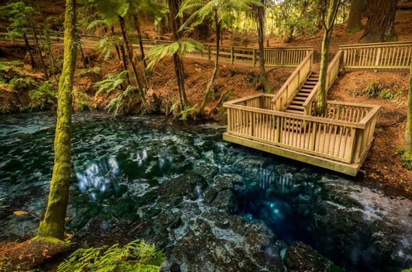 Hamurana Springs